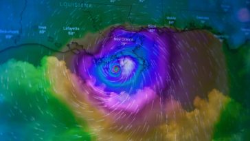 The Power of Windy Weather Apps